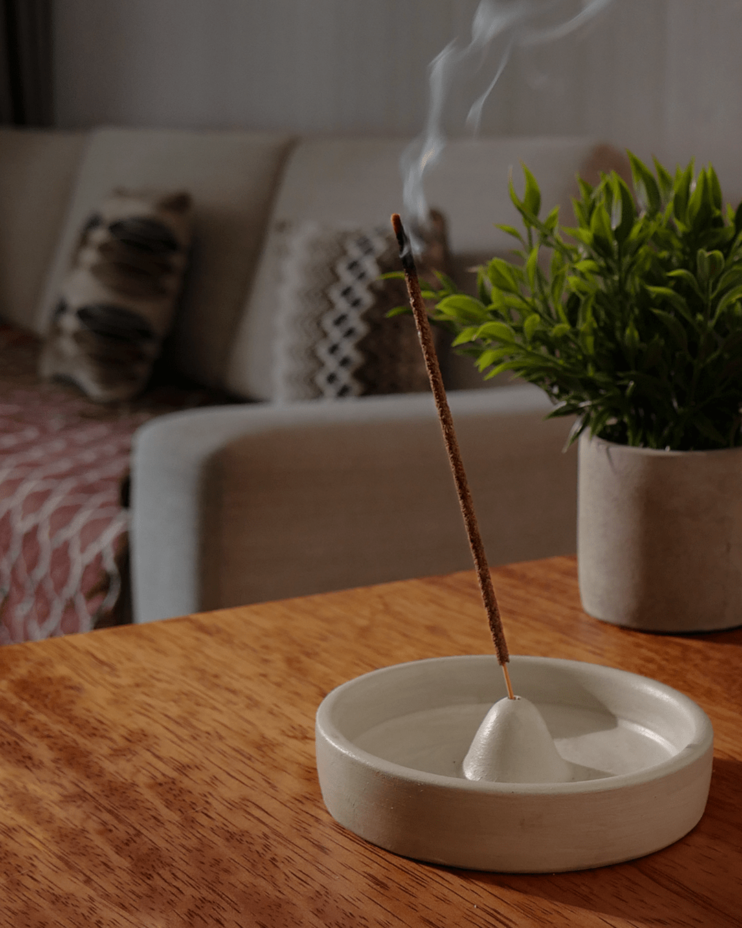 Ispalla Palo Santo Renewal Incense